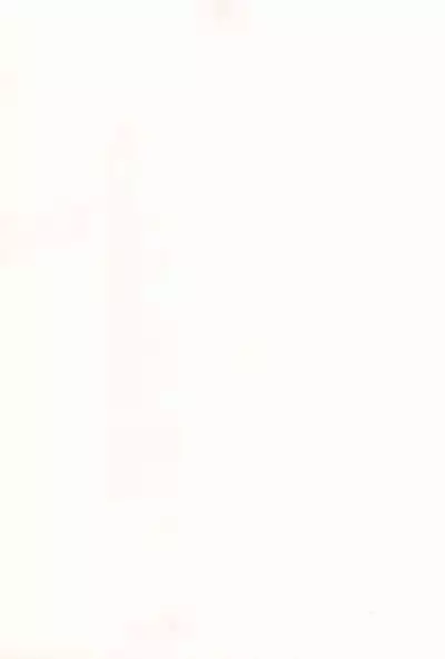 (C102) [Shiro no Ie (Yochiki)] Rio-chan wa Otosaretai. - Rio Want To Be Fall in Love (Blue Archive)