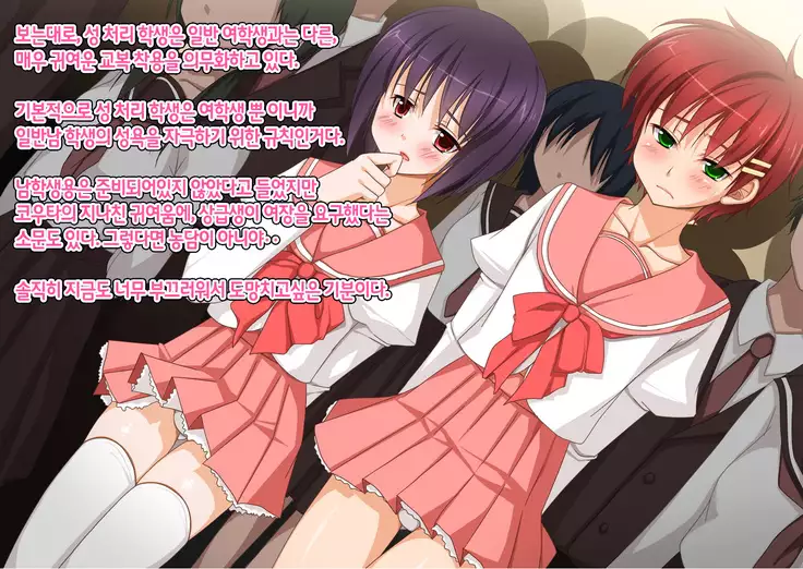 Josou Maso Rakudai Shounen Saikyouiku Nikki