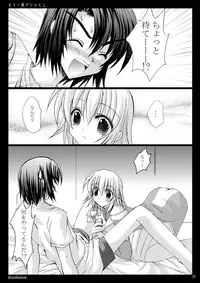 [ARC (Tamagawa Yukimaru)] Resolution (Gundam SEED DESTINY) [Digital]