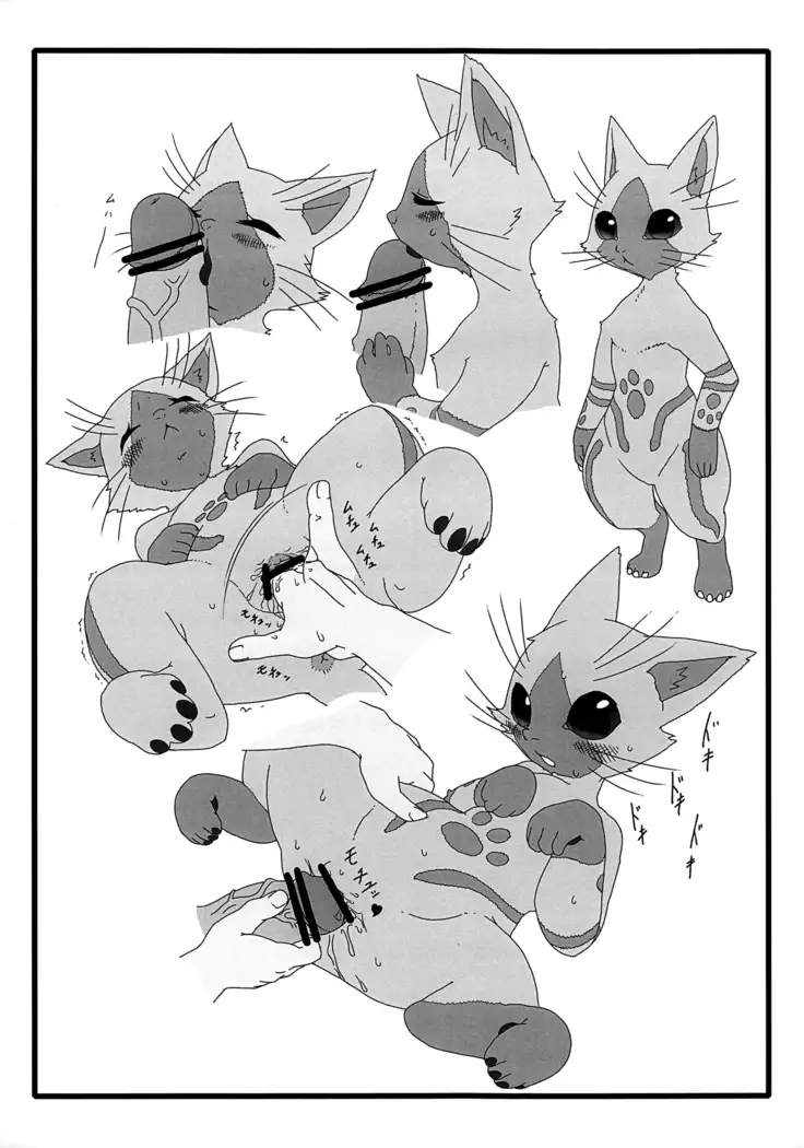 Yoru no Otomo ni Airou o.