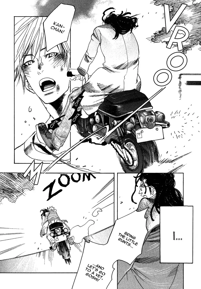 Giocatore, Hokaku Keikaku