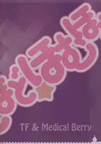 (C81) [Medical Berry, Techno Fuyuno (ha-ru, Fuyuno Haruaki)] MadoMado HomuHomu (Puella Magi Madoka Magica)