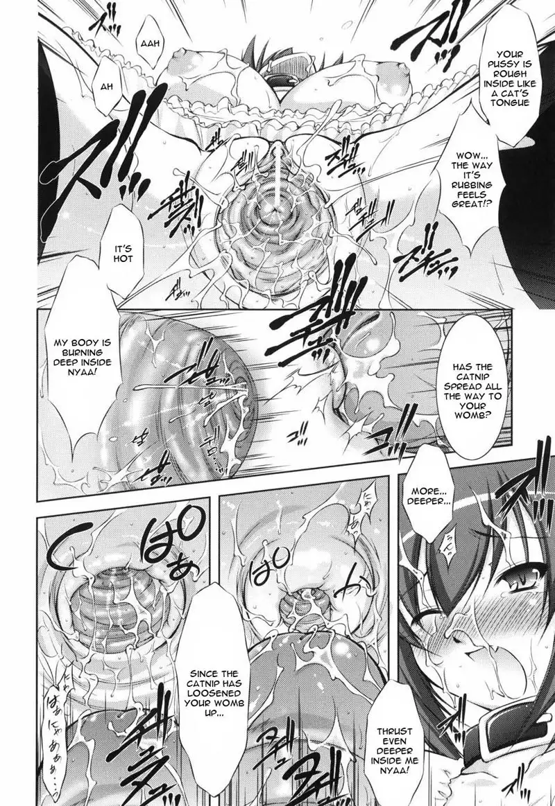 Beginner Adventurer CH6