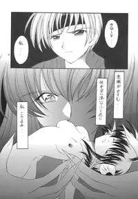 [RED RIBBON REVENGER (Makoushi, Taireru, Takatoo Juna)] Hagetaka no Kagidume (Star Ocean: The Second Story) [Digital]