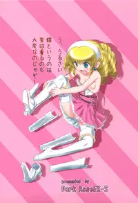 (SC45) [Dark RoseEX-S (Hirooki)] Himesama wa Okatai no ga Osuki? (Queen's Blade)