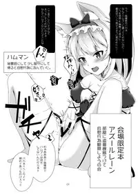 [Yorozuya Miyakotei (Miyako no Gohan)] Heya ni Tousatsu Kiki Tsukete Jiikoui Kansatsu Shiyou no Kai (Azur Lane) [Digital]