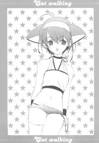 (C68) [TAKANAEDOKO (Hiyoshi Ruma, Takanae Kyourin)] Cat walking (Doraemon)