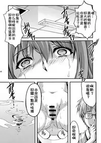 (C93) [HIGH RISK REVOLUTION (Aizawa Hiroshi, Iwasaki Hiromasa)] Shiori Dai-Yon-Shou Futarime no Jushin (Joukan) Shinsouban (Tokimeki Memorial) [Chinese]