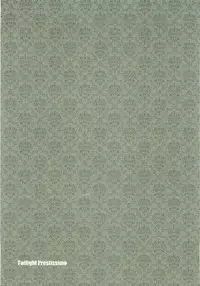 Twilight Prestissimo