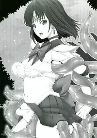 (C82) [Doronuma Kyoudai (RED-RUM, Mr. Lostman)] Dokin (Sailor Moon)