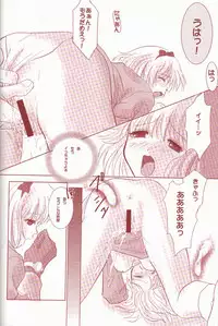 (C62) [AREYOUHAPPY?, APOCRIPHA (Asai Ichiko, Hiyama Akira)] ninukuna- (Ragnarok Online)