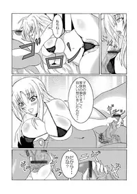 [Bitch Bokujou (Bokujou Nushi K)] Chotto Bitch na Fate Mama (Mahou Shoujo Lyrical Nanoha StrikerS)