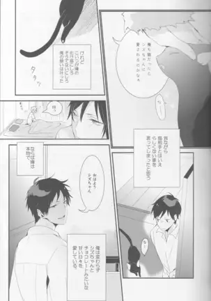 Cat&Chocolate - Durarara doujinshi Japanese