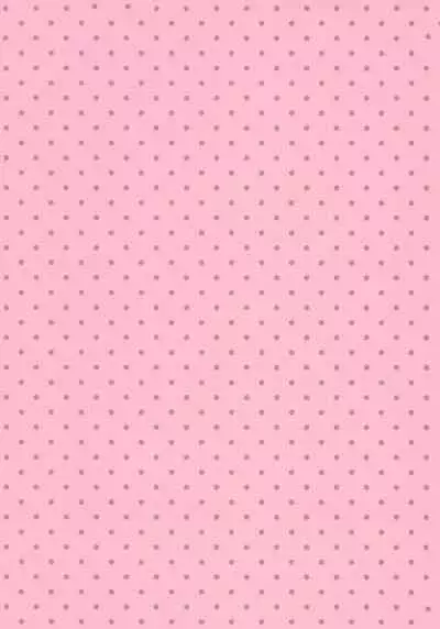 (COMIC1☆16) [Aroma Terrace (Shibainu Niki)] Honto wa Ecchi nan desu yo...? 2 [Chinese] [無邪気漢化組]