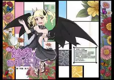 小魅魔的那些事