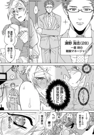 Ero Neko Kyouiku Nisshi