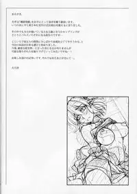 (Reitaisai 11) [Kougeki (Ootsuki Wataru)] Hashihime Jougi (Touhou Project)