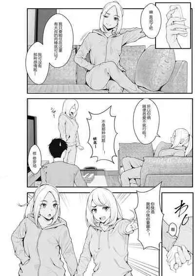 Iede Gal o Hirottara Harem ni Natta Hanashi