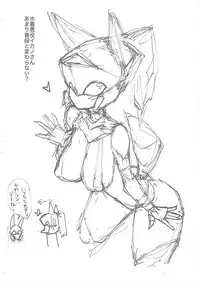 (C95) [Metallic Steel (Ikanomaru)] Sana or Robo