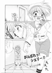 (C54) [STUDIO PAL (Nanno Koto)] The Tofu (Biohazard, Resident Evil)