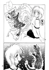 (C56) [.30-06 (Tsutsumi Akari)] CAZA MAYOR ~'99 estio~