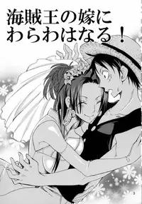 (C78) [Kurione-sha (YU-RI)] Kaizokuou no Yome ni Warawa wa Naru! (One Piece)