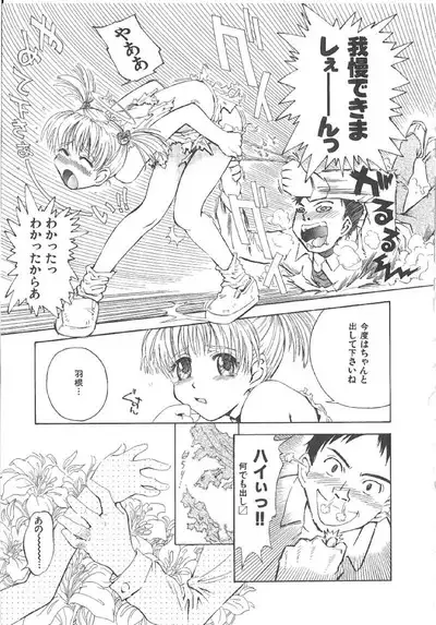 Omasena Petit Ange Complete