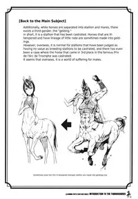 (C83) [Hyakki Yakou (Z-ton)] Centaur Musume de Manabu Hajimete no Thoroughbred | Learning With Centaur Girls: Introduction To The Thoroughbred [English] [4dawgz + Thetsuuyaku]