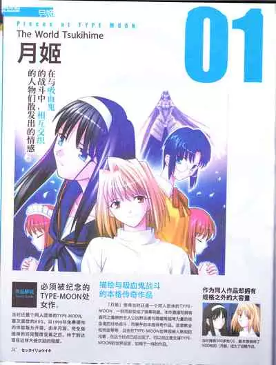 zettairyouiki TYPE-MOON