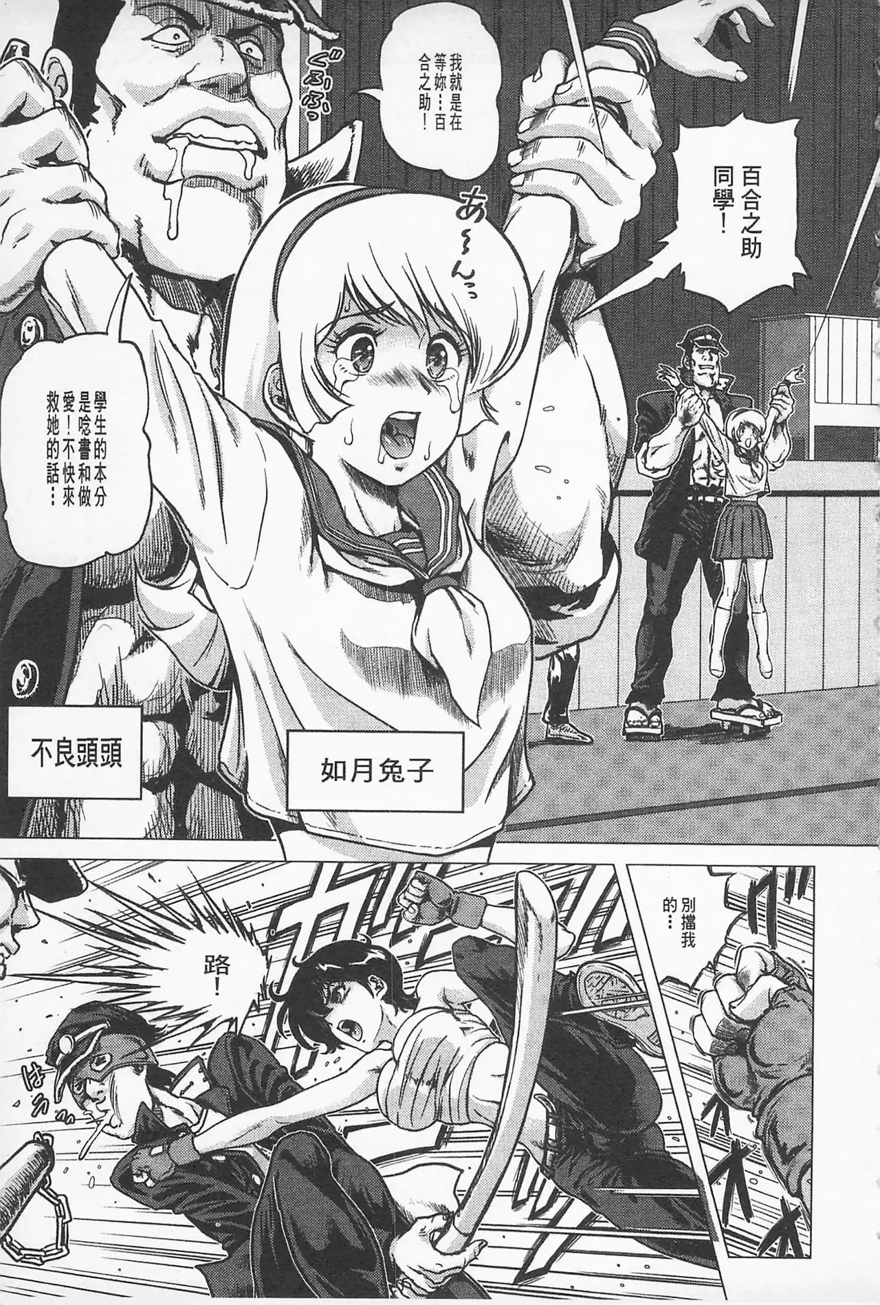 Hikoushiki Heroine Zukan | 非公式女性角色圖姦