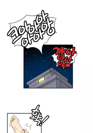 Chauffeur Service Ch.1-30.5