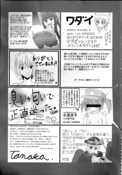 Touhou Nioi Feti Goudou ~Otome-tachi no Shuuki~