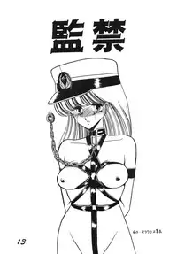 (C36) [LUNA INDUSTRIA (Horikawa Gorou)] Injokurei -Fujin Keikan Menyou Hon "Han-Kan-Rin" Bessatsu-