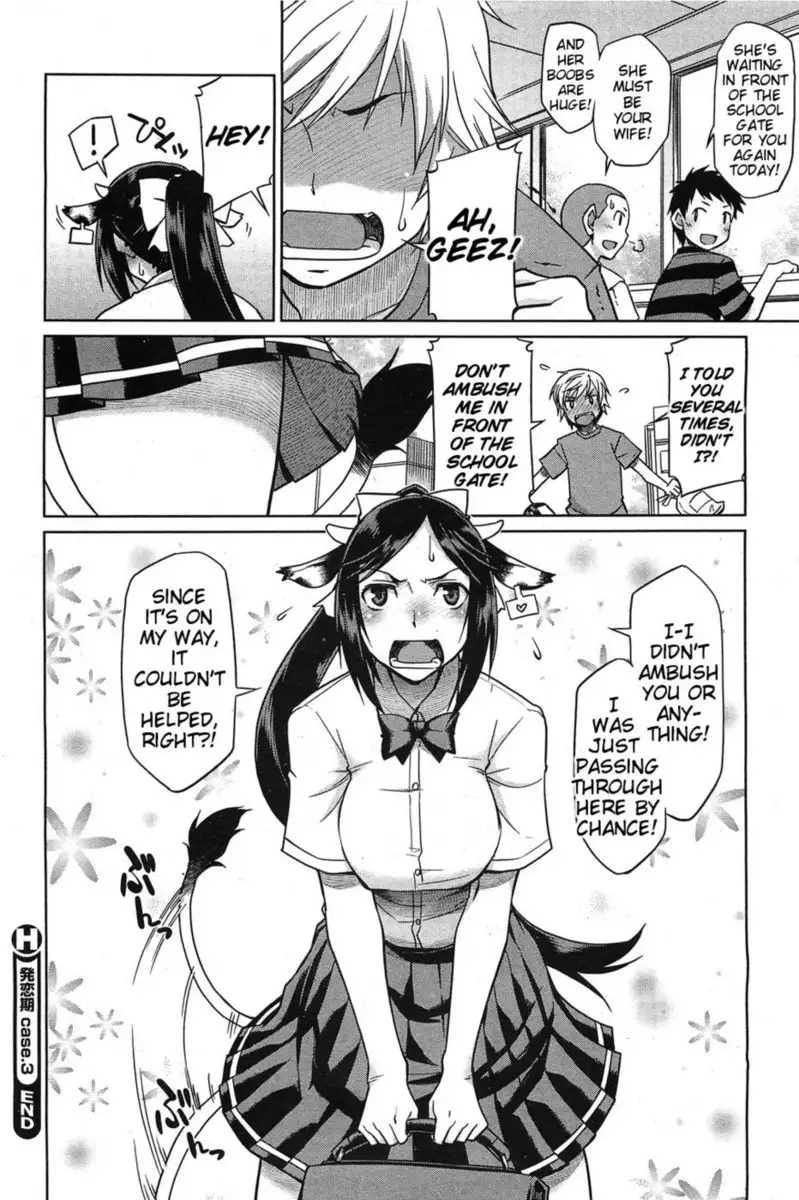 Puppy Love Season - Case 3