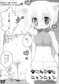 (C74) [GALVAS (Kamiyoshi)] Ojousama To Koneko