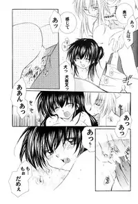 (C66) [Sakurakan (Seriou Sakura)] Junai Romanesque (Inuyasha)