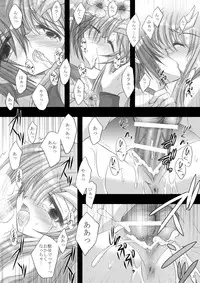 [ARC (Tamagawa Yukimaru)] Resolution (Gundam SEED DESTINY) [Digital]