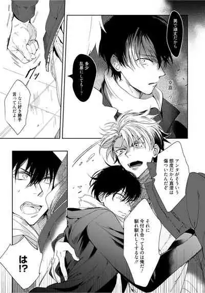 Hajimete wa Zenbu Kare no Gochisou