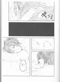 (C75) [Pierre (Garakuta Sochi)] Dream Passport (Naruto)