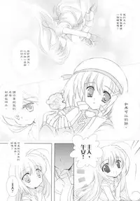 [REI's ROOM (REI)] EIN REENCOUNTER (Mahou Shoujo Lyrical Nanoha) [Chinese] [2007-07]