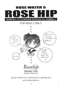 (C52) [Rose Water (Haruka Ayanokouji)] Rose Water 5 Rose Hip (Bishoujo Senshi Sailor Moon)