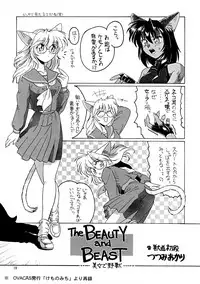 (C53) [.30-06 (Tsutsumi Akari)] CAZA MAYOR