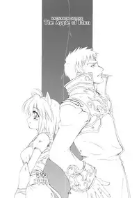 (C69) [SION (Hotori)] ASSUMPTIO (Ragnarok Online)