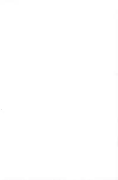 Kotoshi wa Ikenakatta ne, Umi