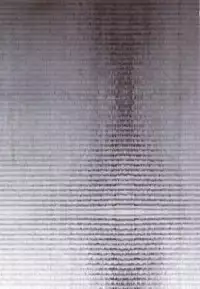 (Futaket 10.5) [Sakusaku Kangen Noushuku (Matashita Kintama)] Haitoku Josou Otouto no Inran Jojishi - Jikka Hen