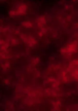 Intou Joubo ~Yukemuri ni Ukabu Bibo no Karada