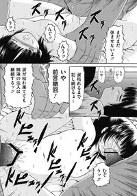 COMIC Mate 2011-04 [Digital]