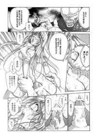 聖王妃 エルレイン（田宮秋人） Princess St