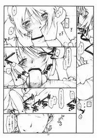 (SC28) [bolze. (rit.)] Miscoordination. (Mobile Suit Gundam SEED DESTINY)