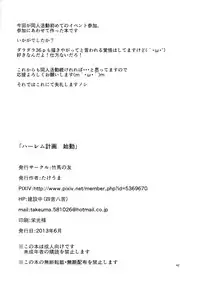 (CCFukuoka32) [Takeuma no Tomo (Takeuma)] Harem Keikaku Shidou (To LOVE-Ru Darkness) [English] [CGrascal]